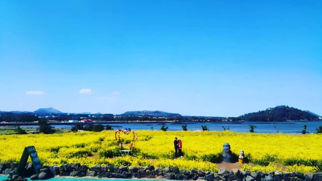 Seongsan Ilchulbong Pension Jeju Eksteriør bilde